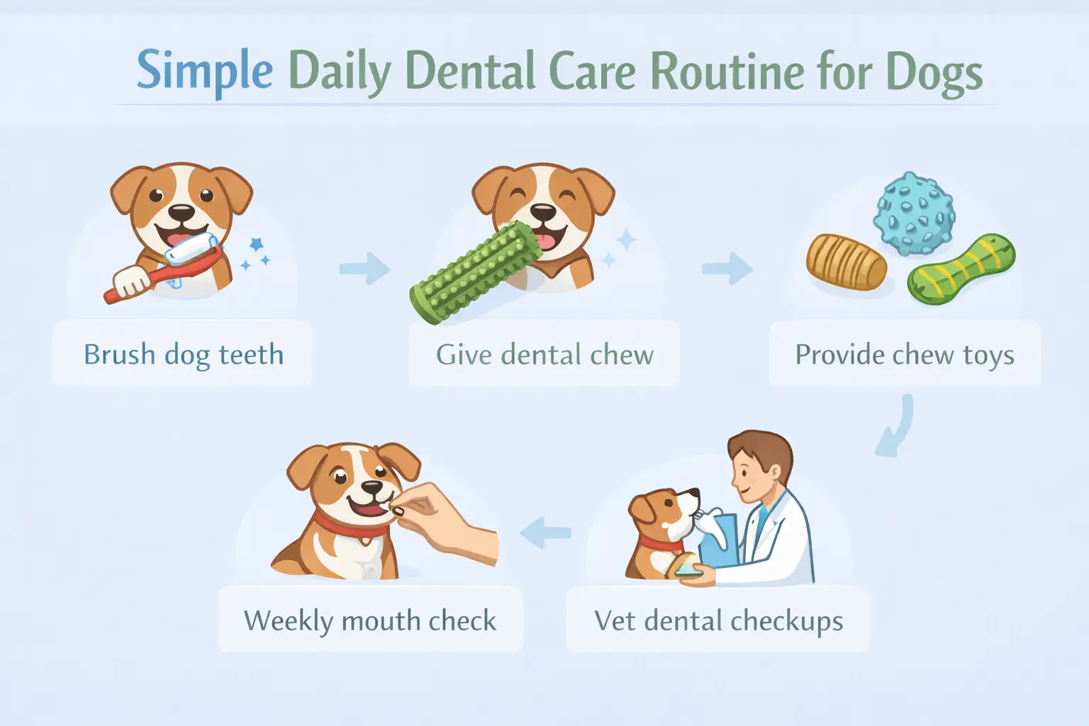 daily dental care routine for dogs 
