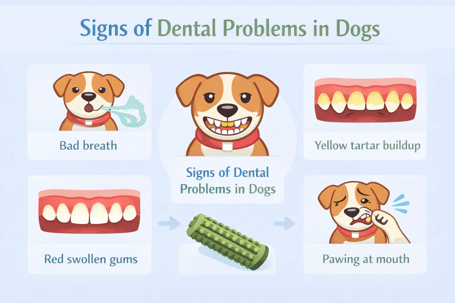 signs of dental disease in dogs 