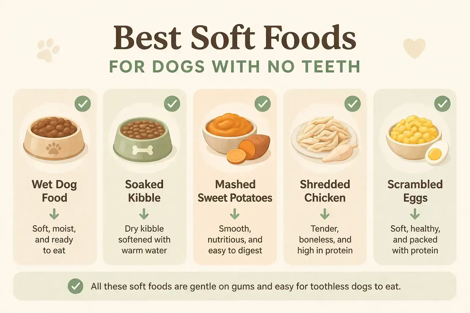Best soft foods for toothless dogs