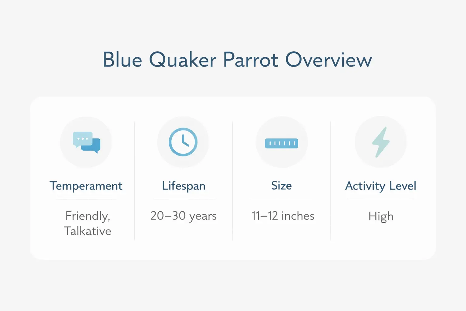 Blue Quaker parrot