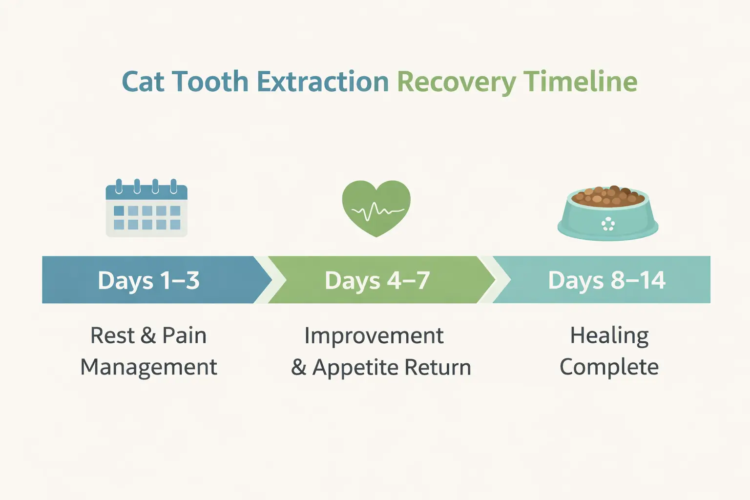 Cat tooth extraction recovery stages