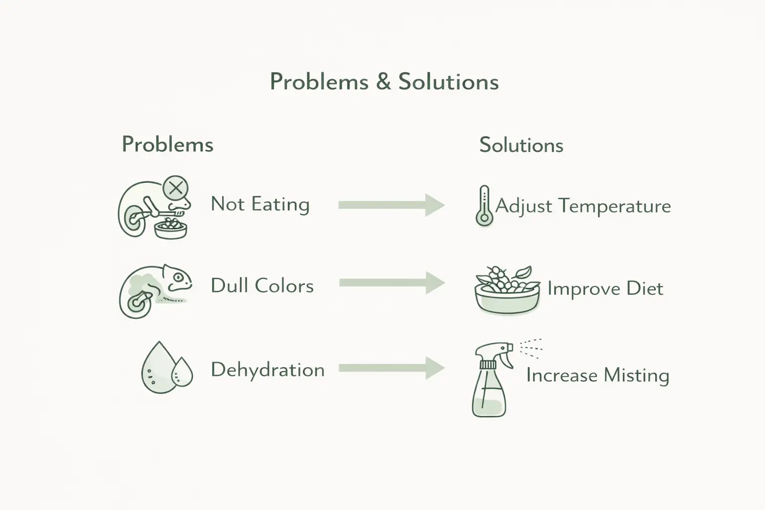 Chameleon care problems and solutions