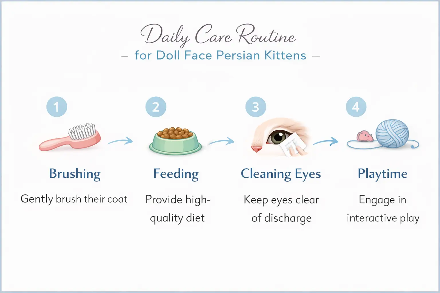 Daily care for Persian kittens