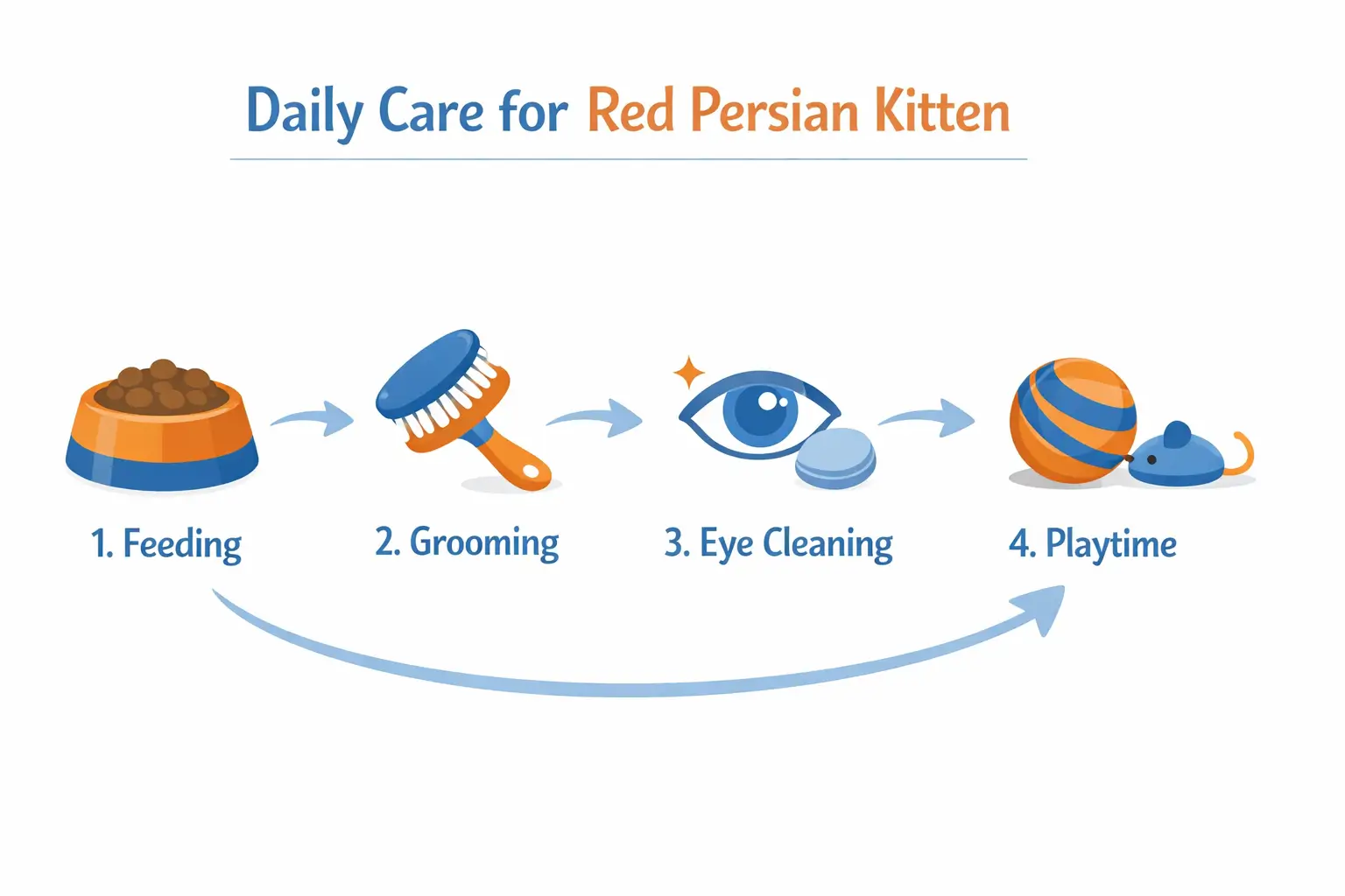 Daily care guide for red Persian kitten