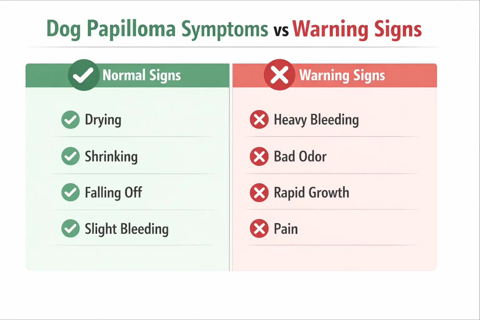Dog papilloma symptoms vs warning signs