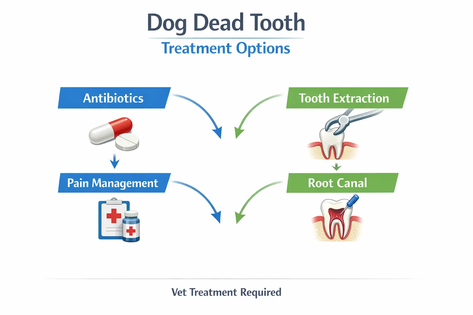 Dog tooth treatment options