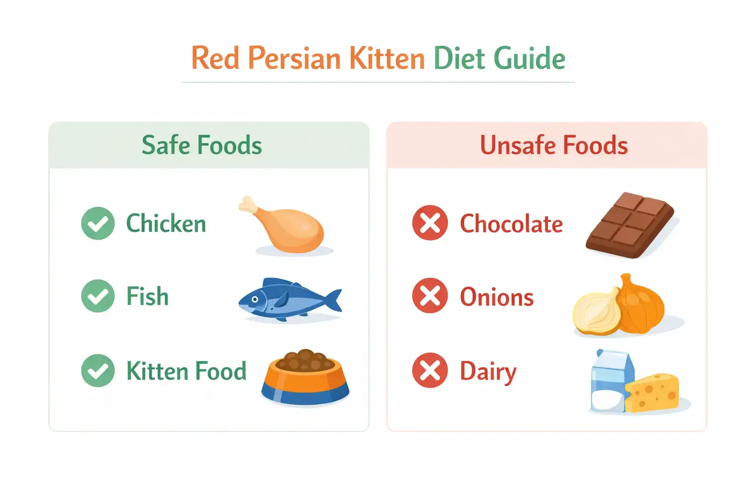 Red Persian kitten diet guide