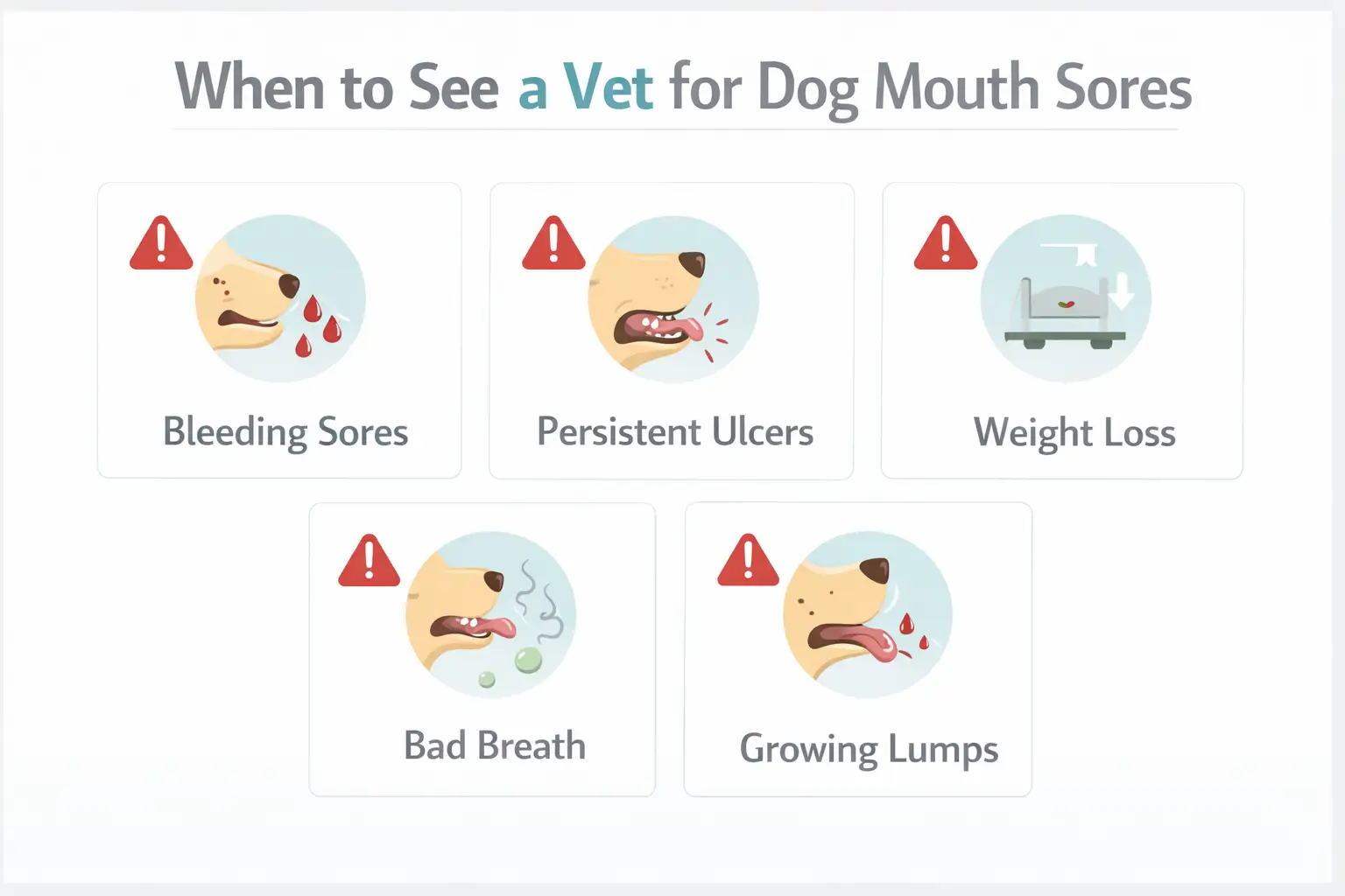 Signs of dog mouth sores
