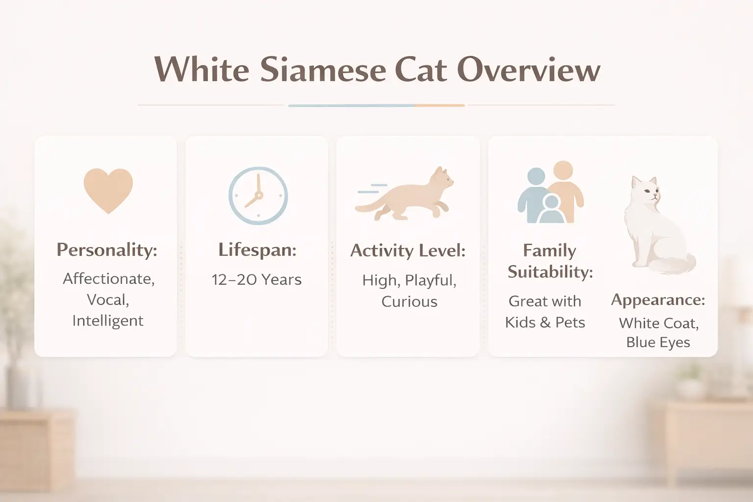 White Siamese cat overview
