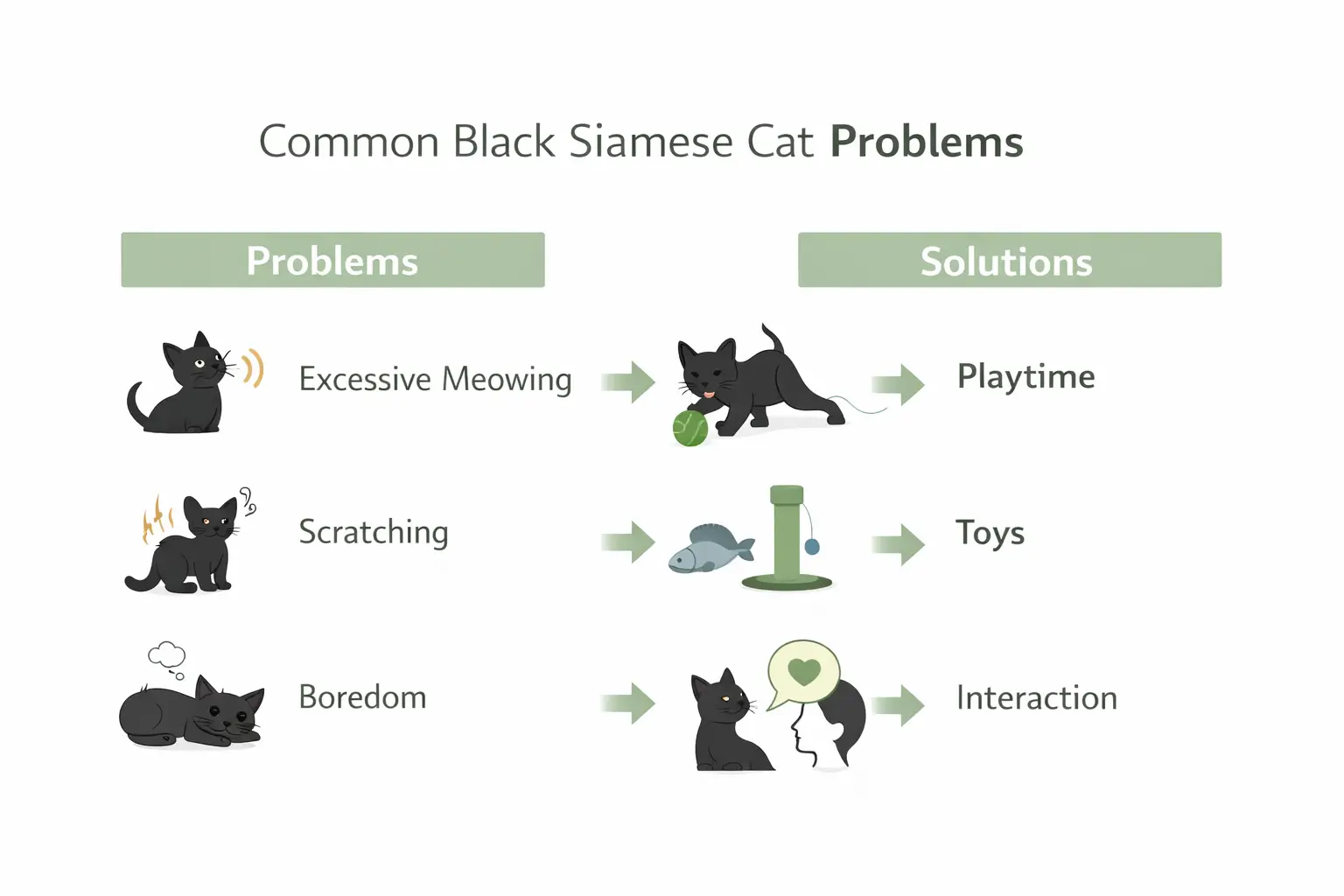 black siamese cat behavior problems and solutions