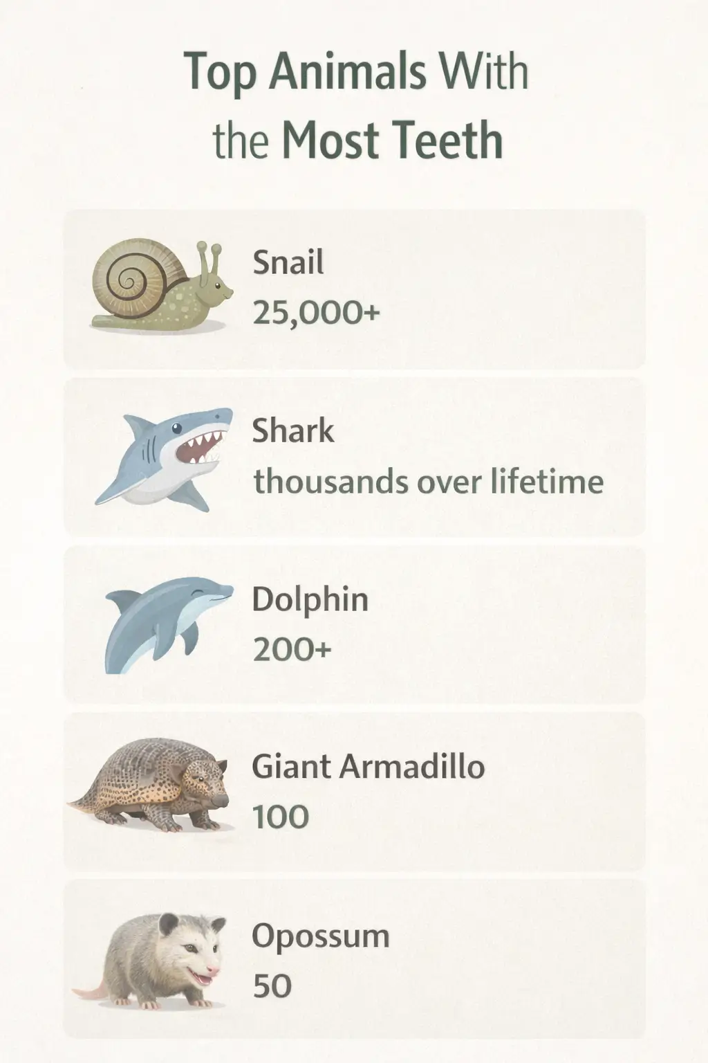 top animals with the most teeth