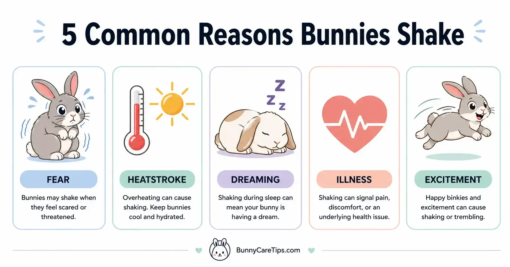 5 common reasons why bunnies shak