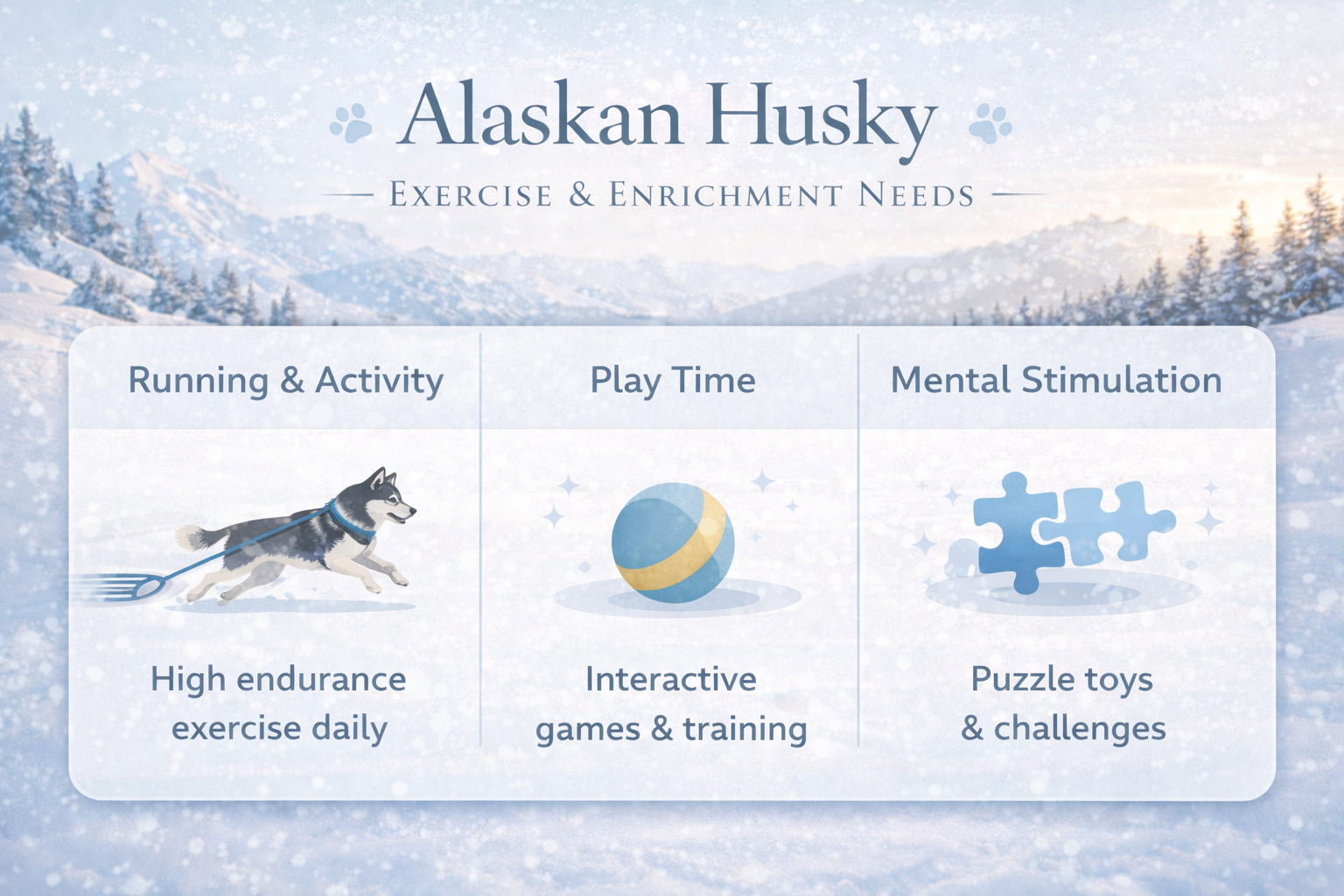 Alaskan Husky care guide