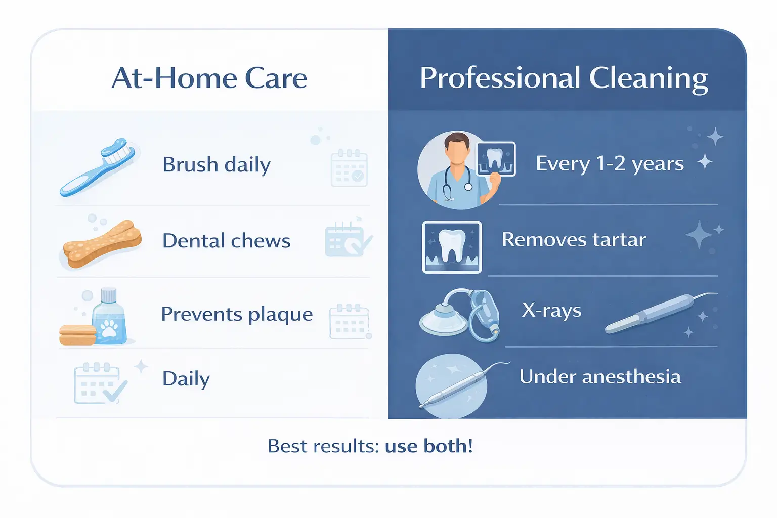 At-Home vs Professional Cleaning Comparison