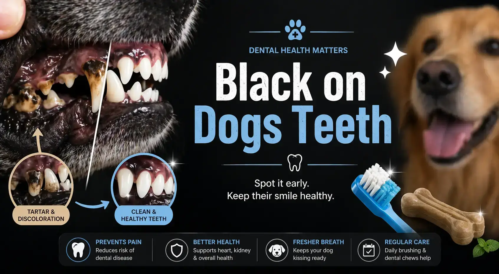 Black on Dogs Teeth