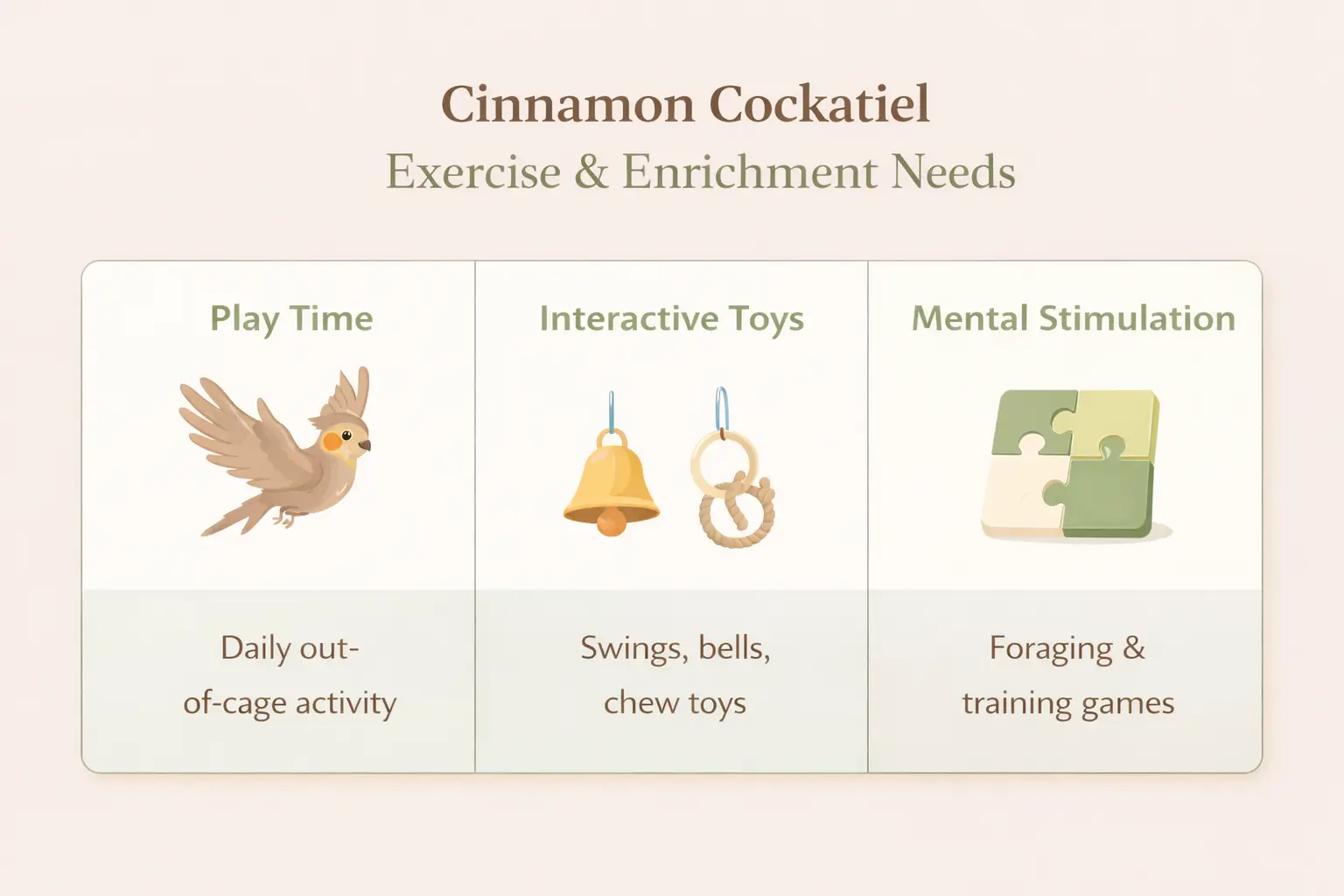 Cinnamon Cockatiel Exercise & Enrichment Needs