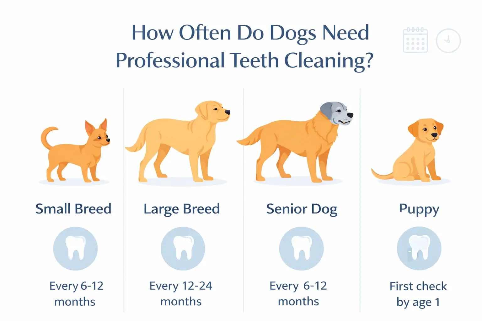 Cleaning Frequency by Dog Type