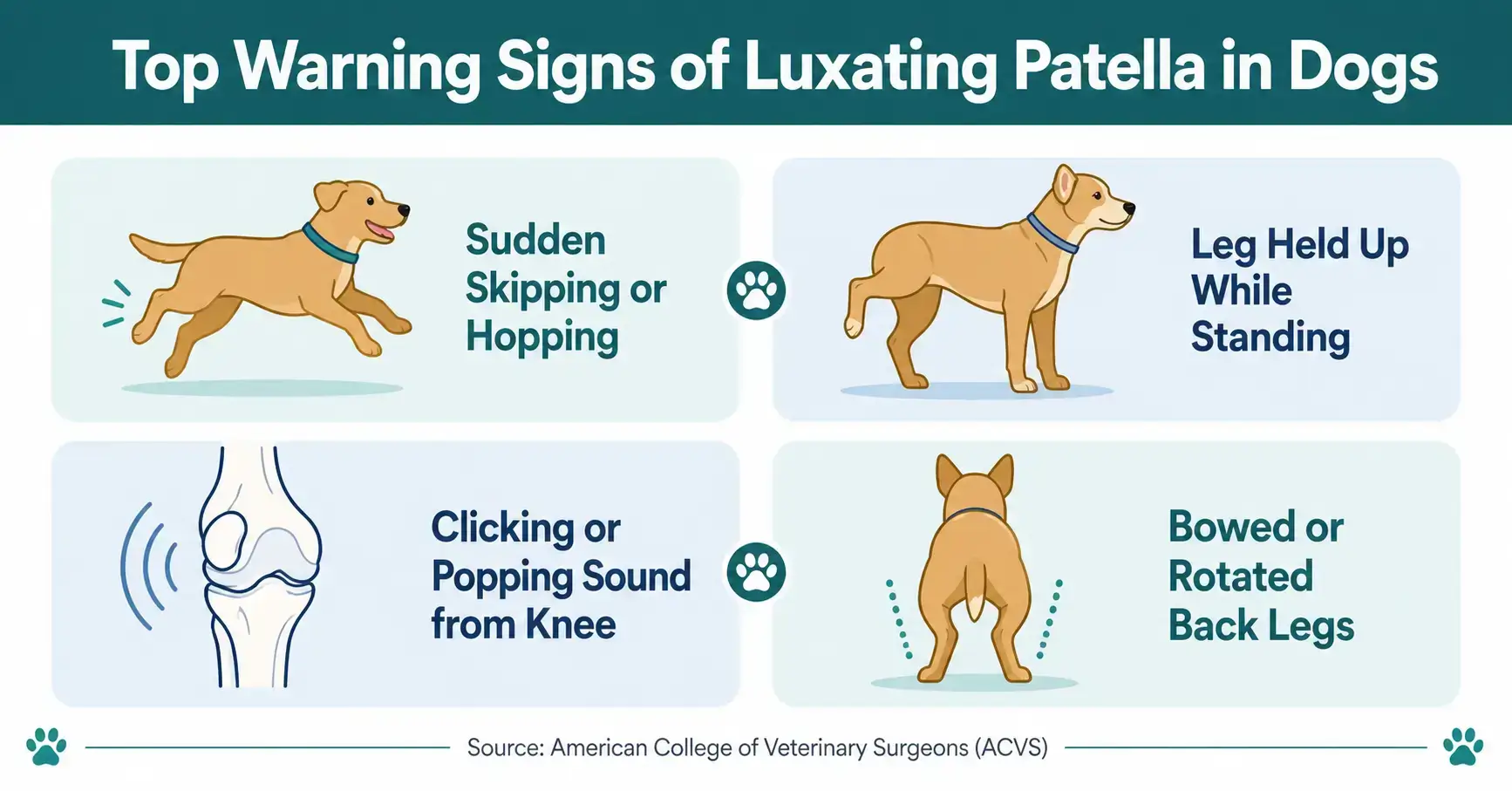 Clinical signs and physical symptoms