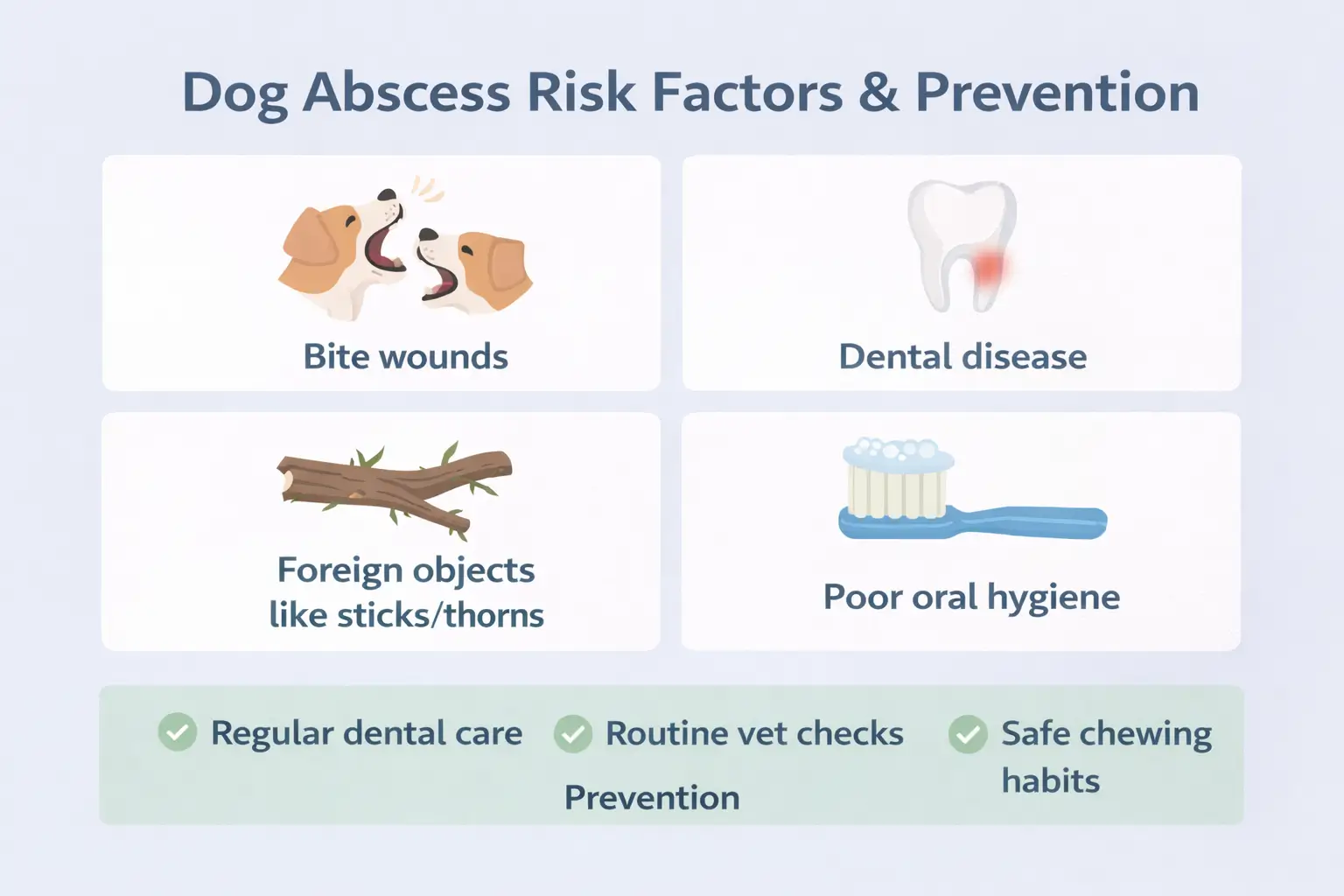 Dog Abscess Risk Factors & Prevention