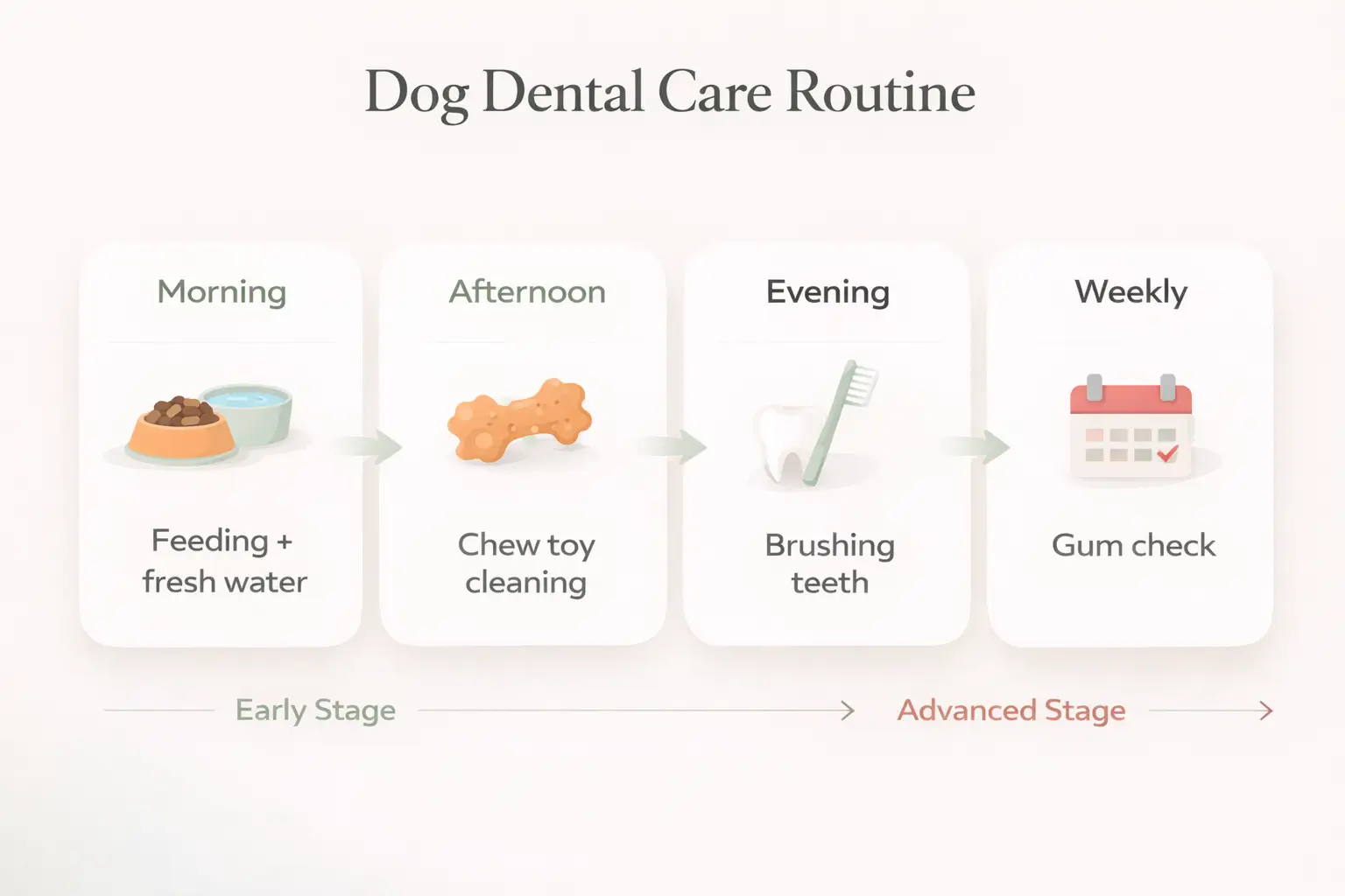 Dog Dental Care Routine