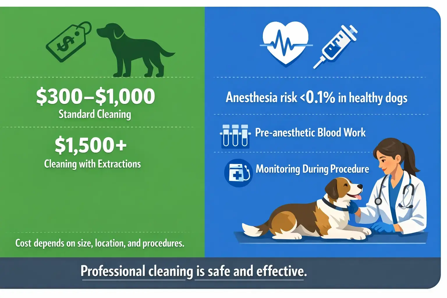 Dog Teeth Cleaning Cost & Safety