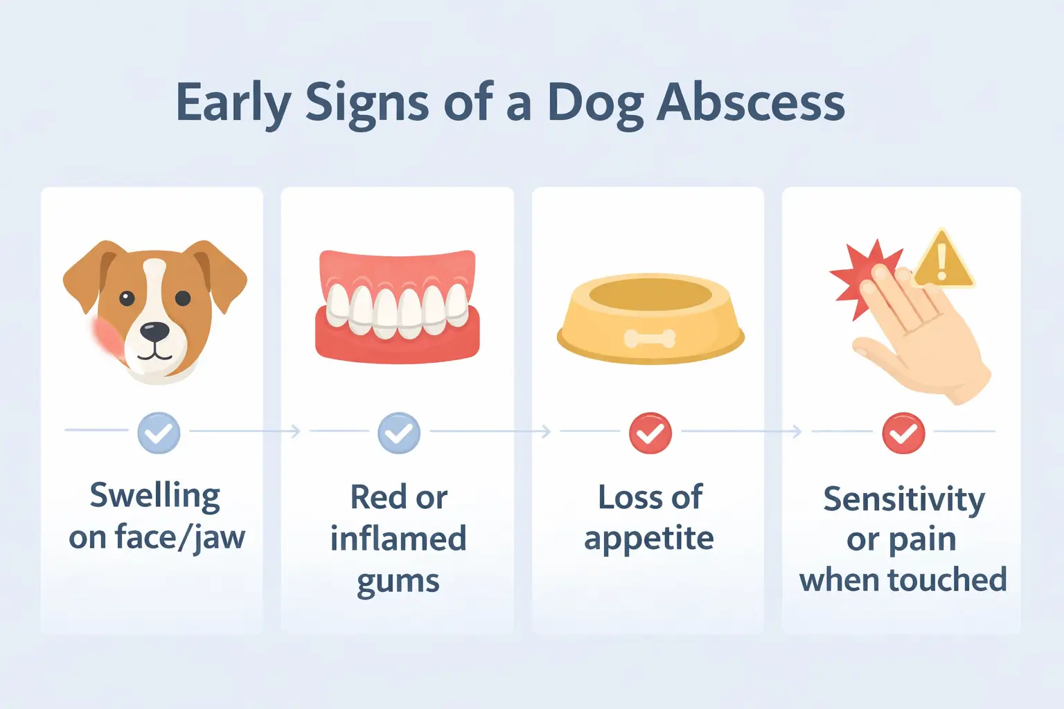 Early Signs of a Dog Abscess