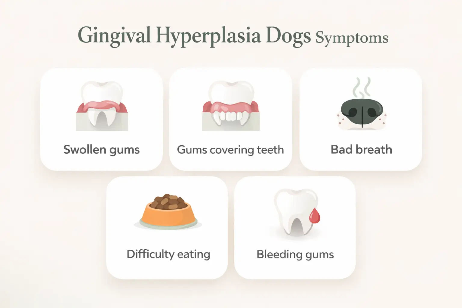Gingival Hyperplasia Dogs Symptoms