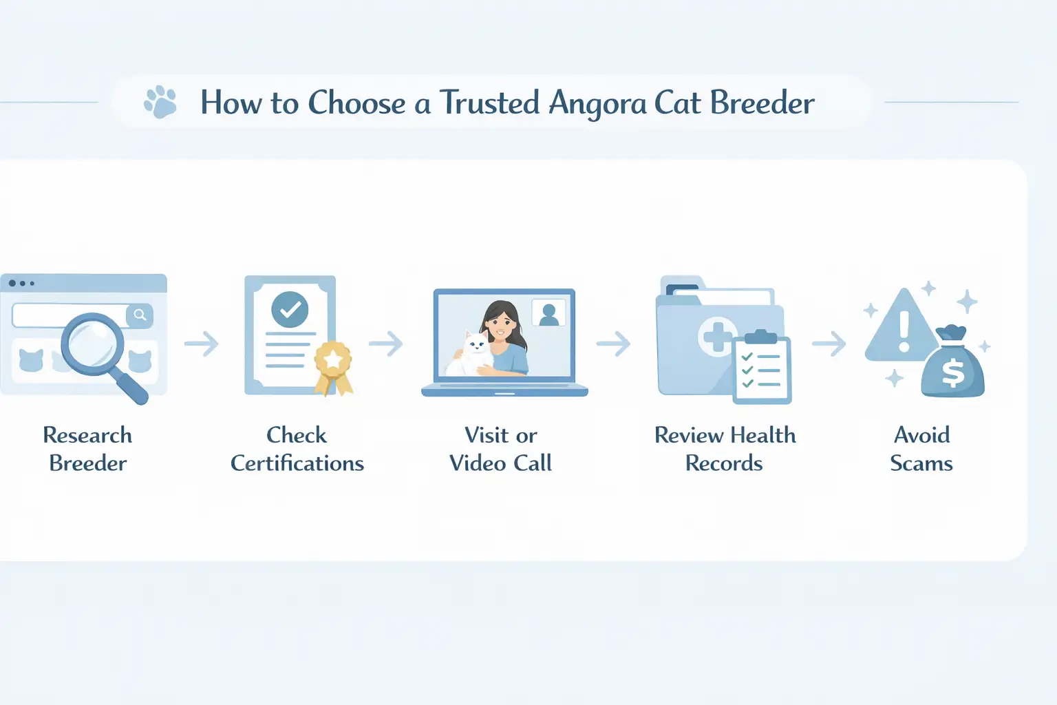 How to Choose a Trusted Angora Cat Breeder