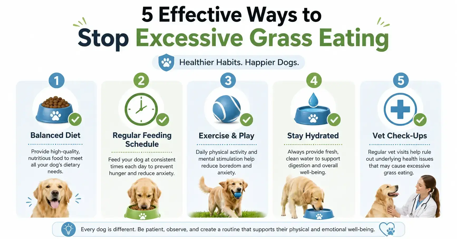 How to stop dog eating grass