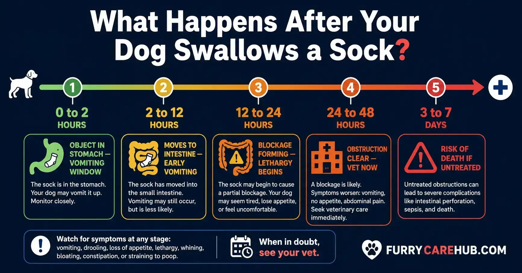 Intestinal Blockage Timeline
