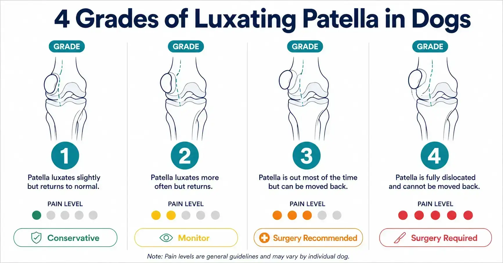 Luxating Patella Grading System