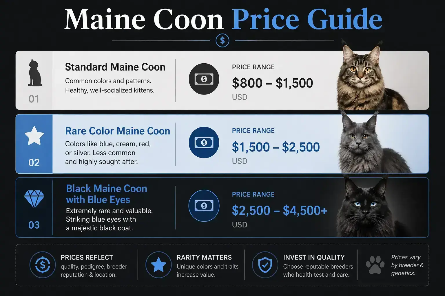 Price Breakdown of Maine Coon Cats