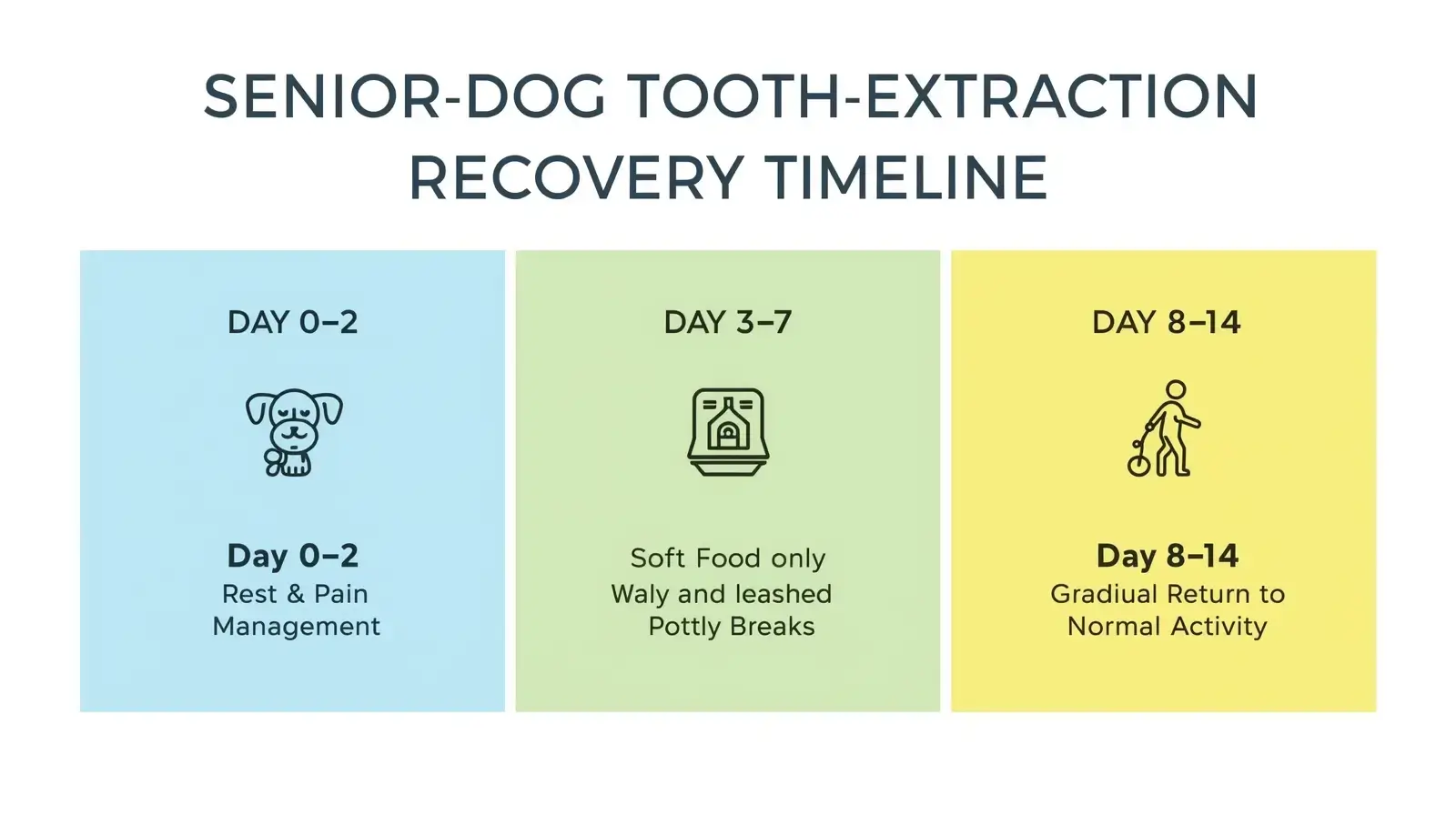 senior dog tooth extraction