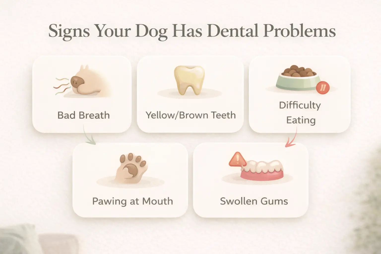 Signs Your Dog Has Dental Problems