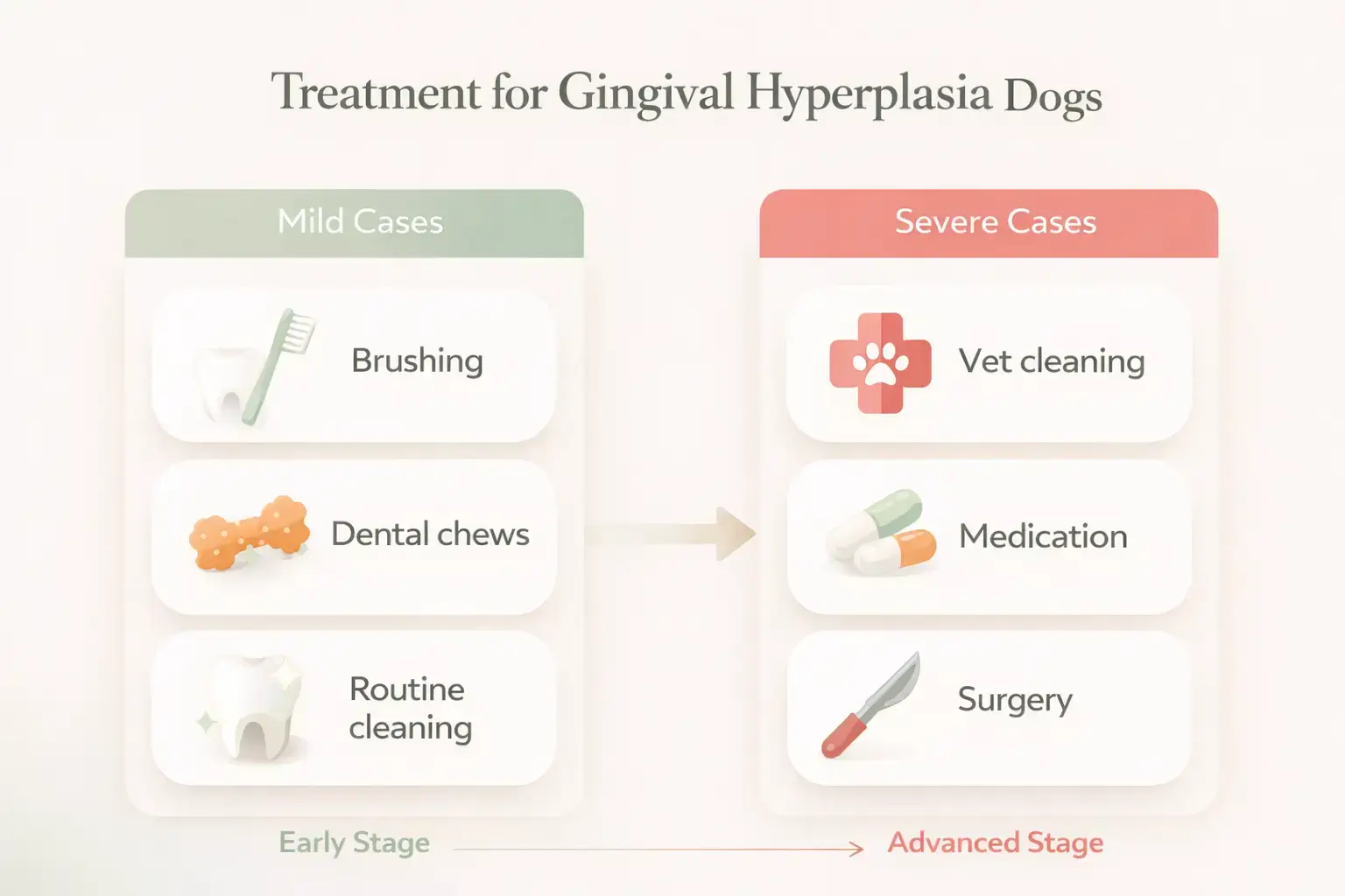 Treatment for Gingival Hyperplasia Dogs