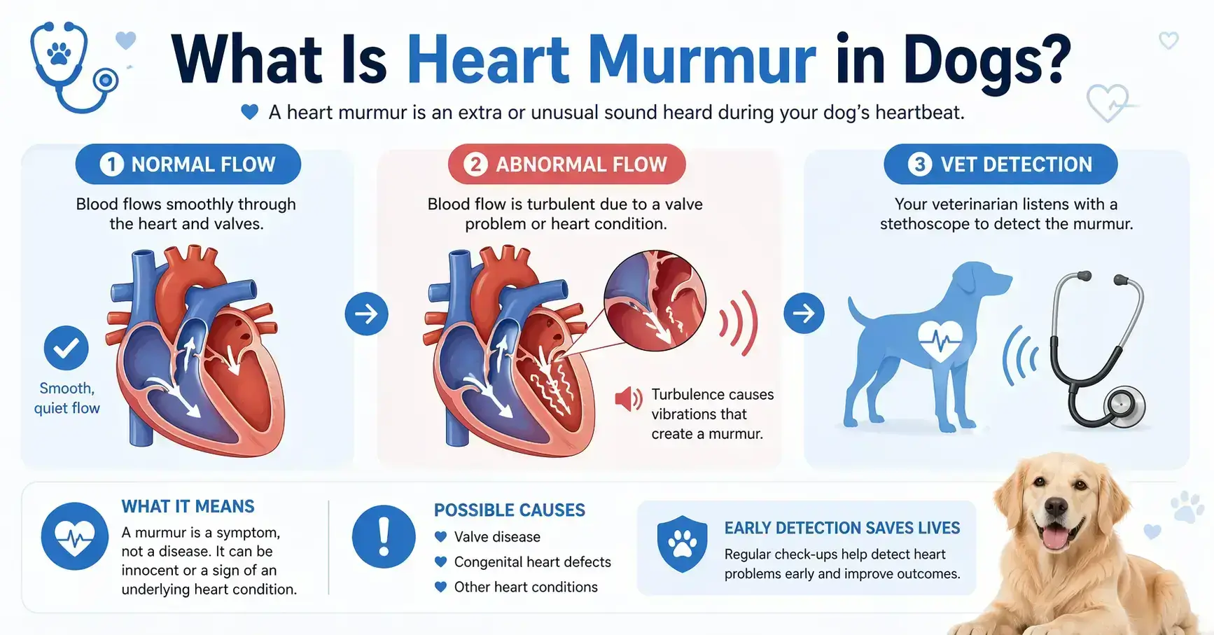 What Is a Heart Murmur in Dogs