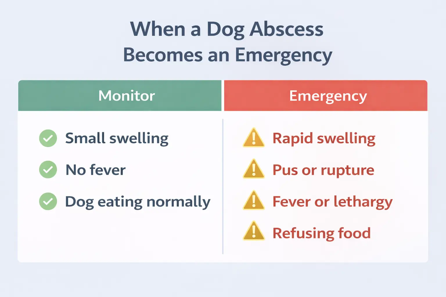 When a Dog Abscess Becomes an Emergency