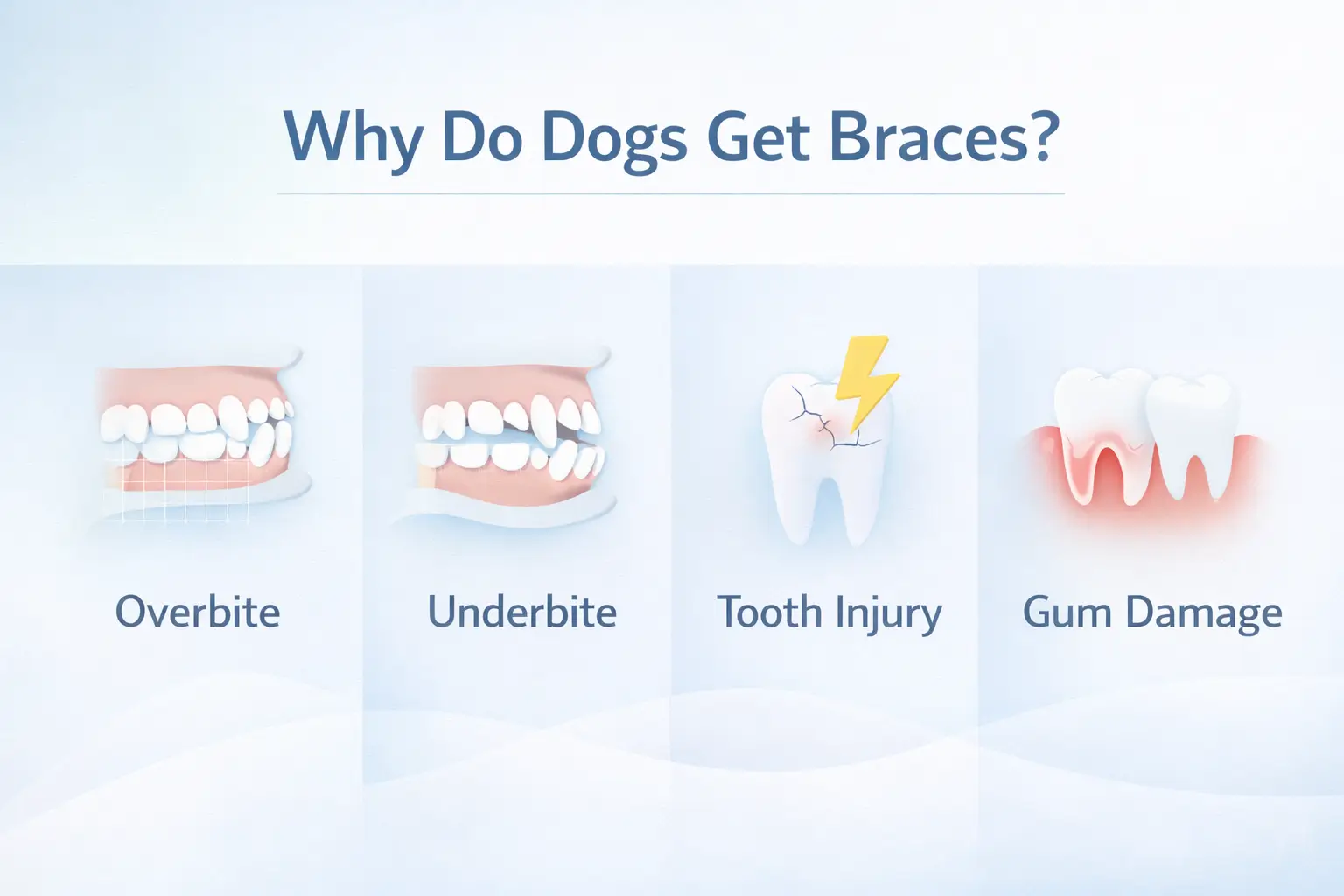 Why Dogs Get Braces