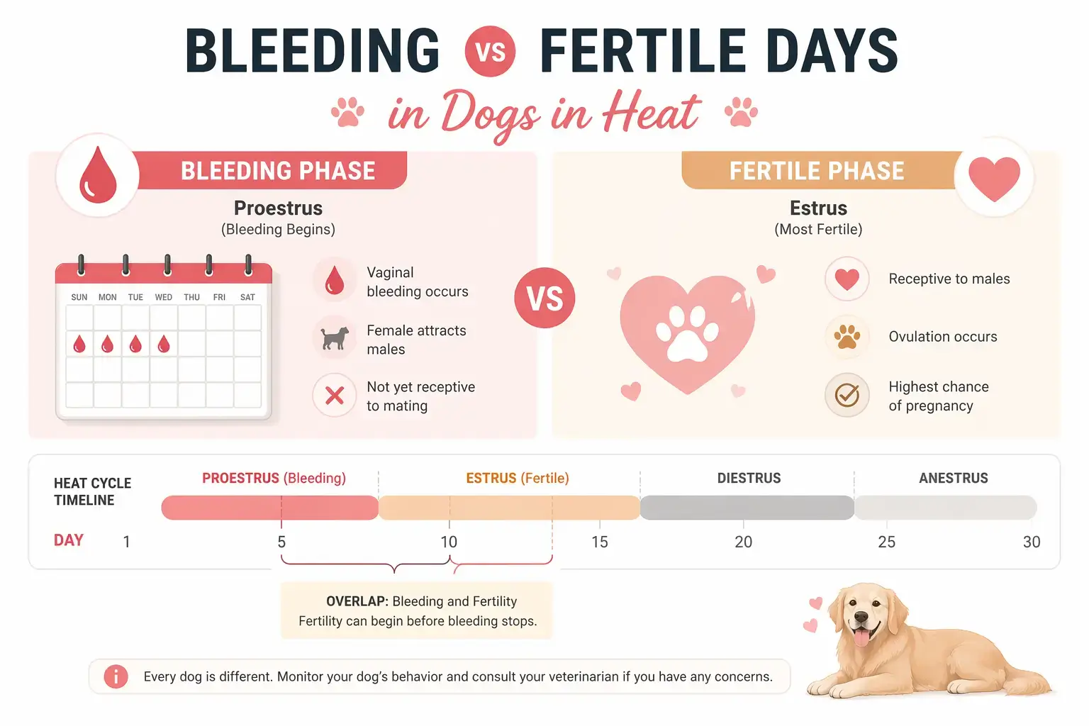 bleeding duration and fertility period