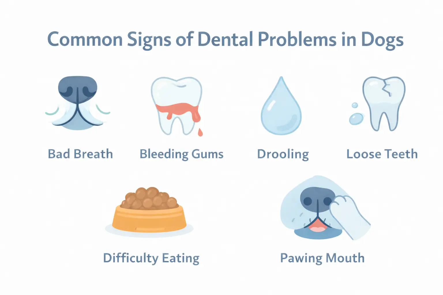 common signs of dental problems