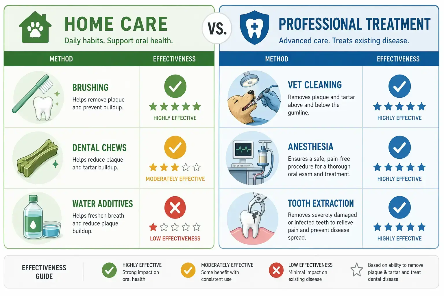 home care vs professional care
