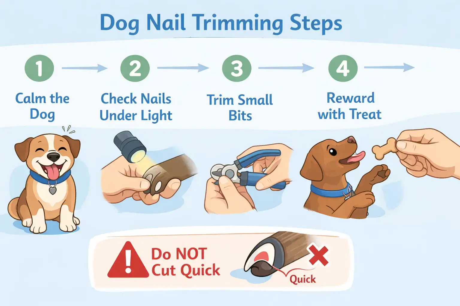 safe dog nail trimming process at home