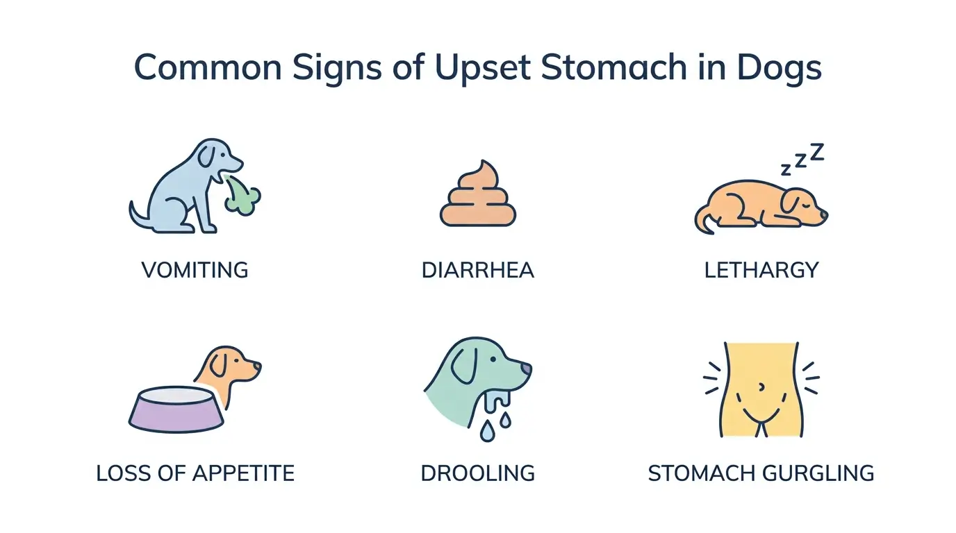 signs of upset stomach in dogs