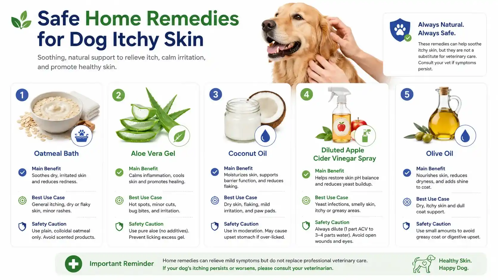 Dog losing weight and itchy skin treatment
