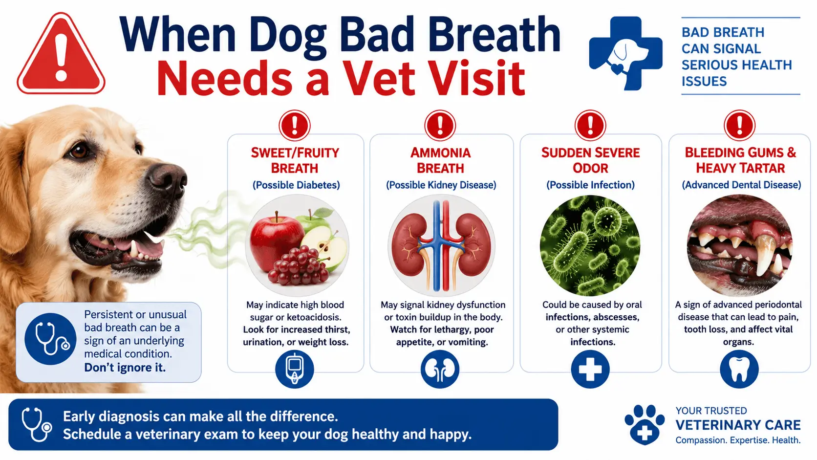 dogs bad breath