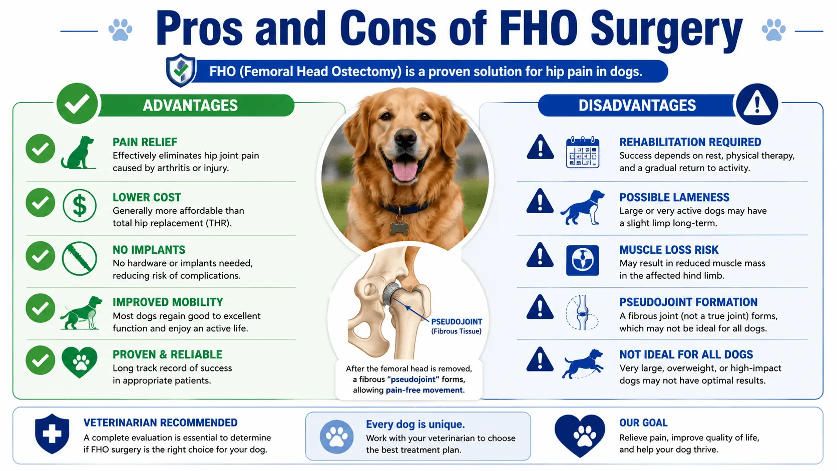 fho surgery dog