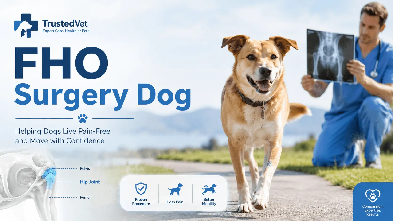 fho surgery dog