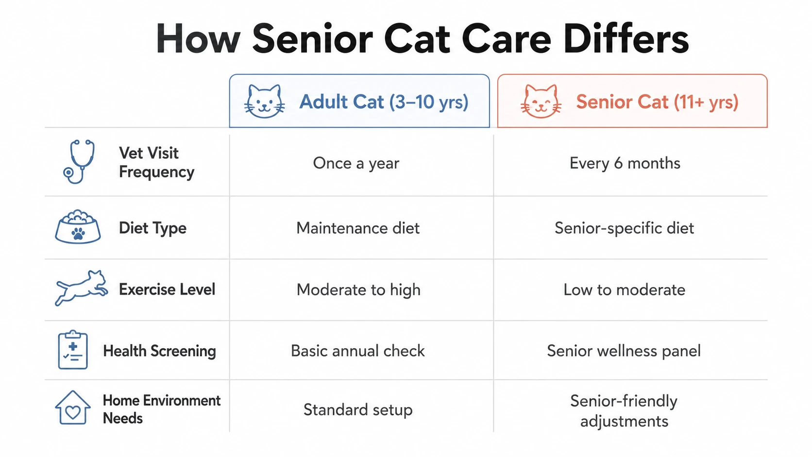 senior cats