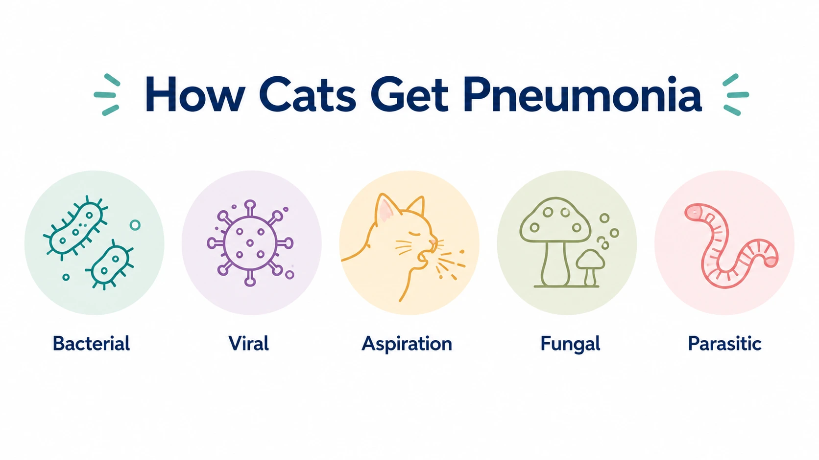 how do cats get pneumonia