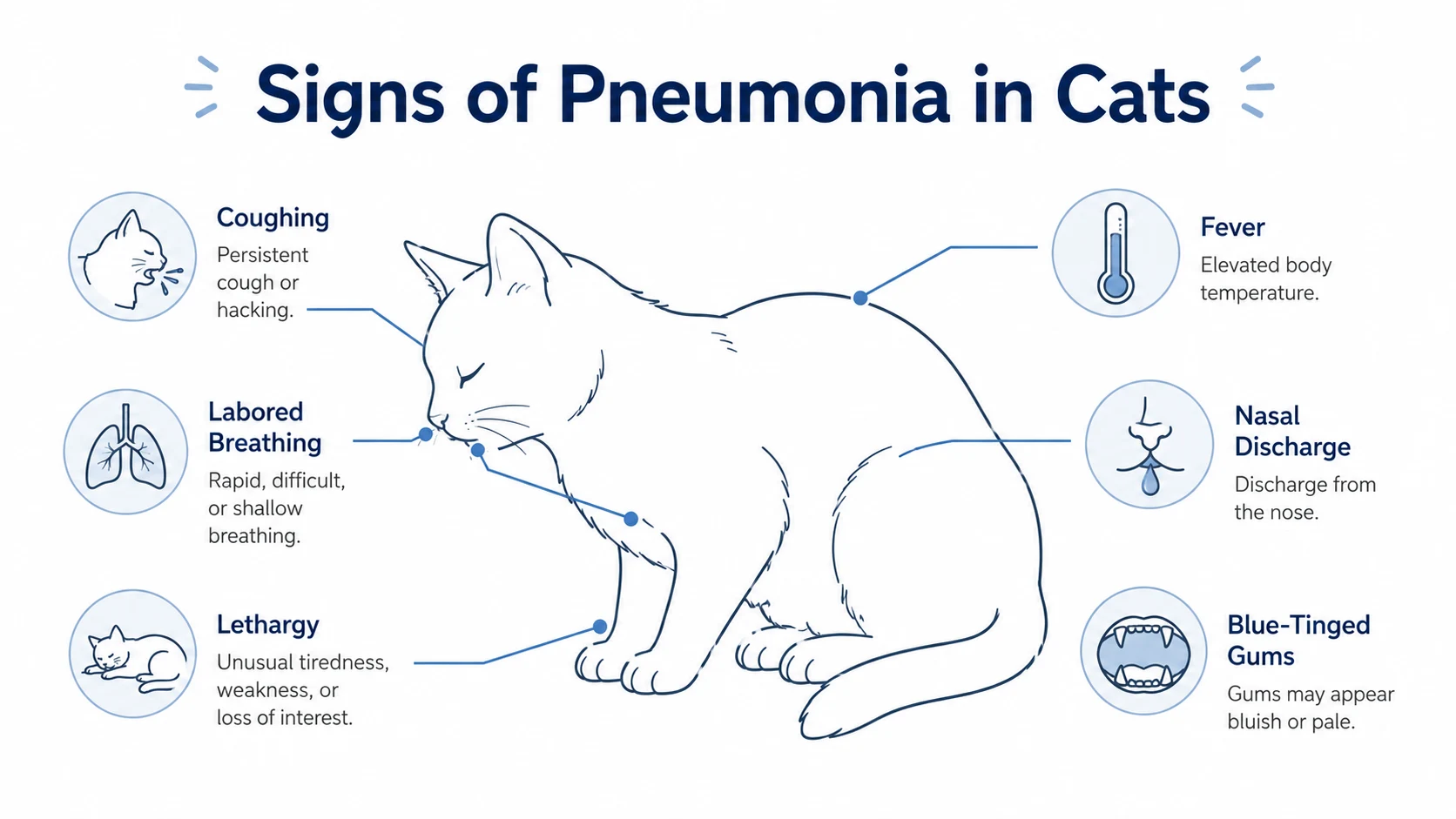 how do cats get pneumonia